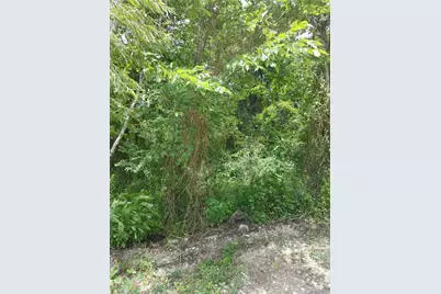 000 Pine, Brazoria, TX 77422 - Photo 5