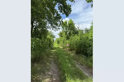 000 Pine, Brazoria, TX 77422 - Photo 3