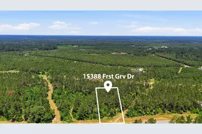 15388 Forest Grove Drive, Willis, TX 77378 - Photo 11