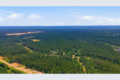 15388 Forest Grove Drive, Willis, TX 77378 - Photo 7