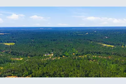 15388 Forest Grove Drive, Willis, TX 77378 - Photo 1