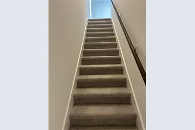 31350 Black Cherry Hollow Drive, Magnolia, TX 77354 - Photo 9