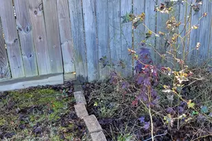 16549 E Emerson Cir, Conroe, TX 77306 - Photo 9