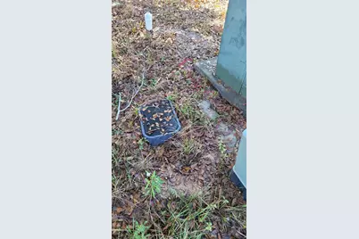 16549 E Emerson Circle, Conroe, TX 77306 - Photo 5