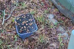 16549 E Emerson Cir, Conroe, TX 77306 - Photo 5