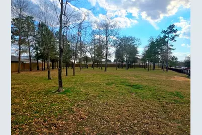 22410 Base Light Drive, Hockley, TX 77447 - Photo 21