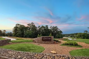 8823 Woodland Oaks Dr, Plantersville, TX 77363 - Photo 5