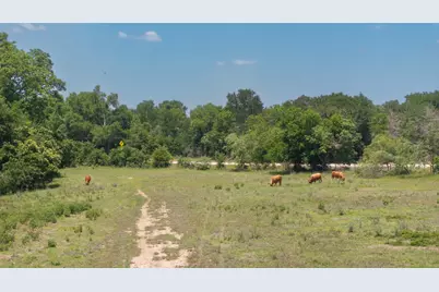 9163 N Fm 46, Franklin, TX 77856 - Photo 41