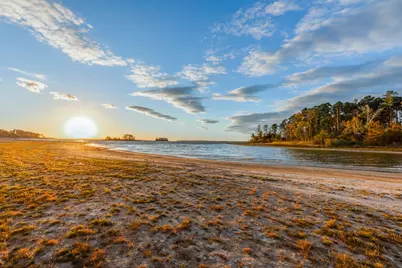 331 & 441 Shoreline Drive, Brookeland, TX 75931 - Photo 43