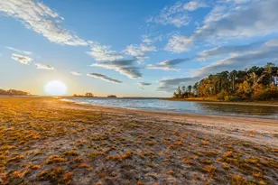 331 & 441 Shoreline Dr, Brookeland, TX 75931 - Photo 43