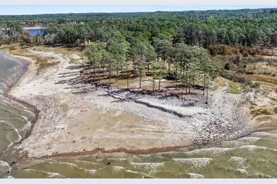 331 & 441 Shoreline Drive, Brookeland, TX 75931 - Photo 47