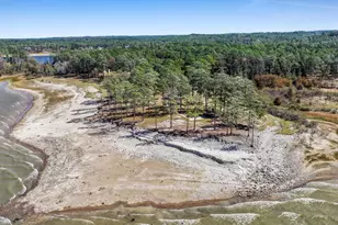 331 & 441 Shoreline Dr, Brookeland, TX 75931 - Photo 47