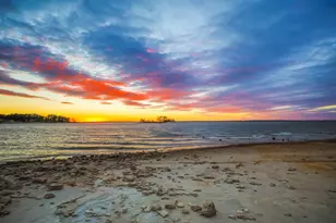 331 & 441 Shoreline Dr, Brookeland, TX 75931 - Photo 41