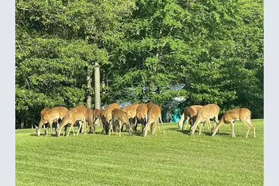 151 Canadian Drive, Trinity, TX 75862 - Photo 15