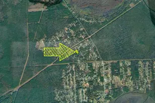 447 Co Rd 410, Dayton, TX 77535 - Photo 9