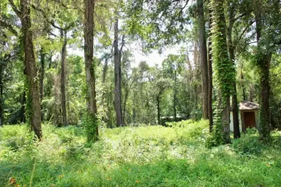 410 Dogwood Trail, Conroe, TX 77316 - Photo 9