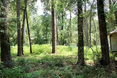 410 Dogwood Trail, Conroe, TX 77316 - Photo 11