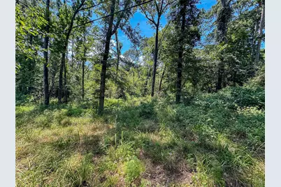 Lot 532 & 533 Tx-156, Coldspring, TX 77331 - Photo 9
