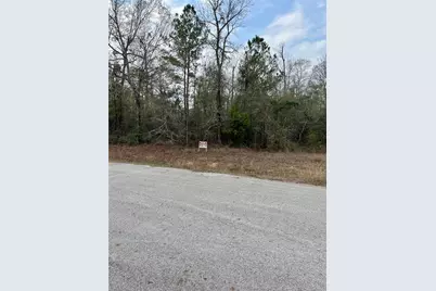 21099 Angus Drive, Cleveland, TX 77328 - Photo 3