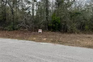 21099 Angus Drive, Cleveland, TX 77328 - Photo 3