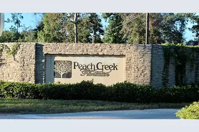 21099 Angus Drive, Cleveland, TX 77328 - Photo 1