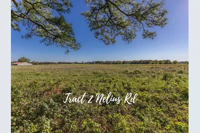 Tract 2 Nelius Road, Bellville, TX 77418 - Photo 1