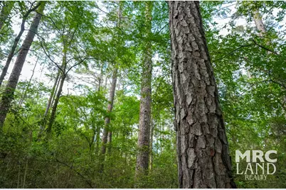 00 Farm To Market 357, Kennard, TX 75847 - Photo 5