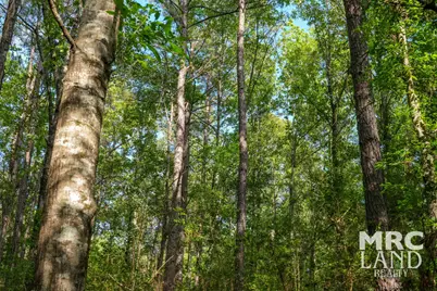 00 Farm To Market 357, Kennard, TX 75847 - Photo 35