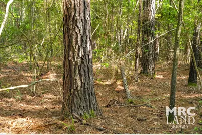 00 Farm To Market 357, Kennard, TX 75847 - Photo 17