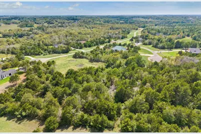 8494 Timber Cove Lane, Chappell Hill, TX 77426 - Photo 3