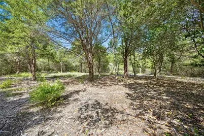 8494 Timber Cove Lane, Chappell Hill, TX 77426 - Photo 7