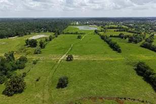 41115 Community Rd, Magnolia, TX 77354 - Photo 29