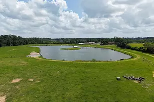 41115 Community Rd, Magnolia, TX 77354 - Photo 37