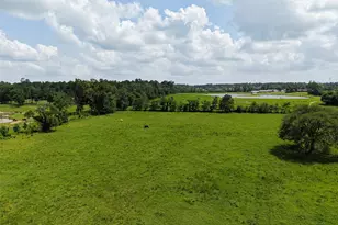 41115 Community Rd, Magnolia, TX 77354 - Photo 35