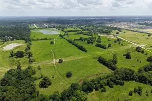 41115 Community Rd, Magnolia, TX 77354 - Photo 31