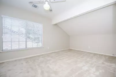 3031 Cotter Lake Circle, Missouri City, TX 77459 - Photo 29