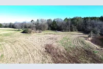 1475 Southfield Trail, Lovelady, TX 75851 - Photo 13