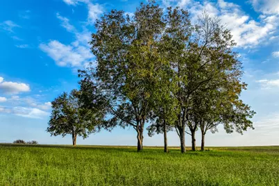 Tbd Sunny Meadow Lot 26 Drive, Chappell Hill, TX 77426 - Photo 15