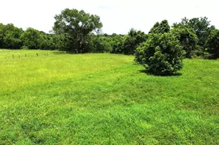 412 Rainey St, Groveton, TX 75845 - Photo 19