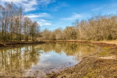 5280 Whitaker Way, Anderson, TX 77830 - Photo 3