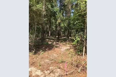 0 Kickapoo - Tract 33 Colt II Road, Groveton, TX 75845 - Photo 3