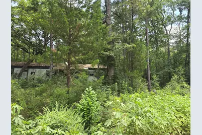 261 Patricia Drive, Livingston, TX 77351 - Photo 3