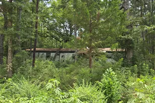261 Patricia Dr, Livingston, TX 77351 - Photo 1