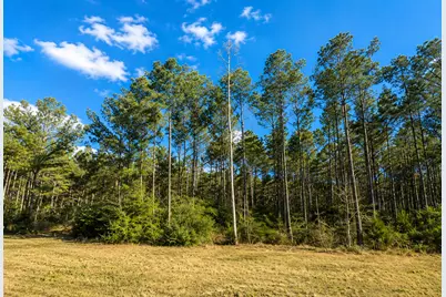 10805 Ruger Road, Willis, TX 77378 - Photo 5