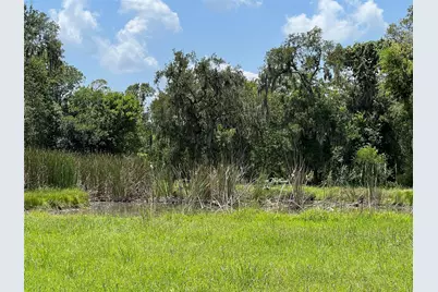 17502 Hamill Drive, Rosharon, TX 77583 - Photo 3