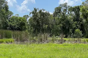 17502 Hamill Dr, Rosharon, TX 77583 - Photo 3