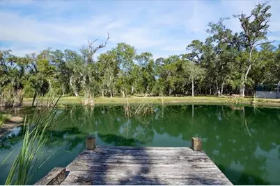 17502 Hamill Drive, Rosharon, TX 77583 - Photo 7