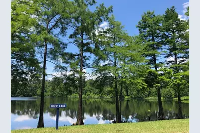 518 Bedias Creek Drive, Conroe, TX 77304 - Photo 11