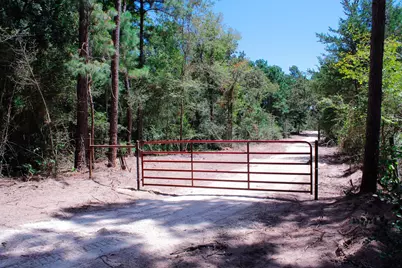 66 Ac Tanyard Church Lane, Midway, TX 75852 - Photo 9