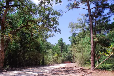 66 Ac Tanyard Church Lane, Midway, TX 75852 - Photo 13